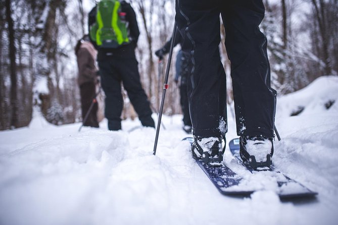 Skiing (Hok Ski) Excursion in Jacques-Cartier National Park - From Sainte-Anne Street to the Park