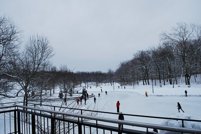 Small-Group Sightseeing Tour of Montreal - Mount Royal views from a heated van