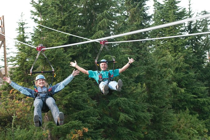 Small Group Tour: Capilano Suspension Bridge and Grouse Mountain from Vancouver - The order of the stops can affect your day