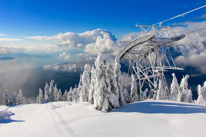 Small Group Tour: Capilano Suspension Bridge and Grouse Mountain from Vancouver - Grouse Mountain and the Red Skyride