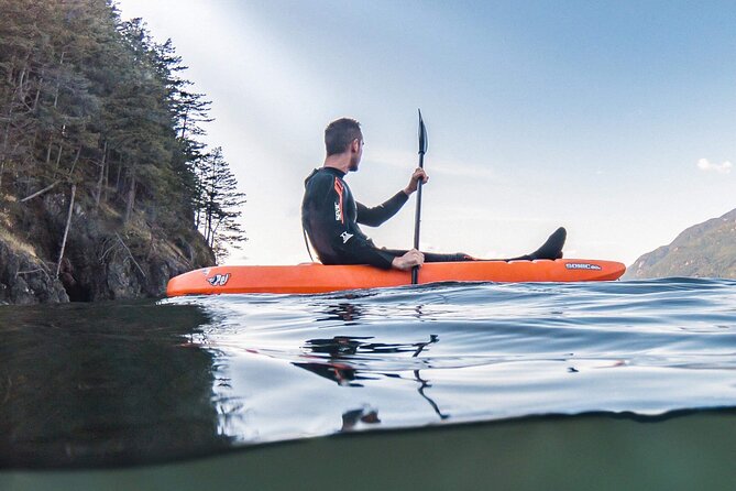 Snorkel, Kayak, and Seal Adventure: Vancouver Boat Tour - A warm break with soup and hot chocolate