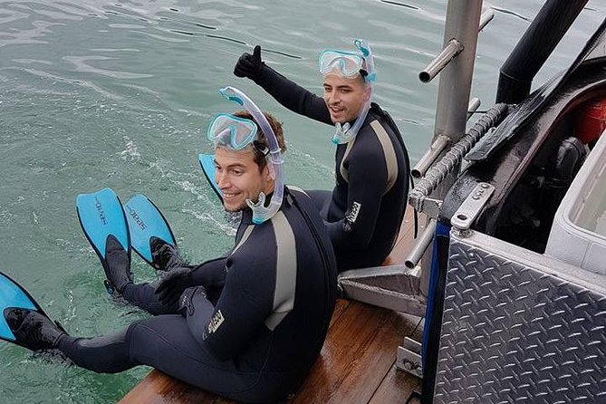 Snorkel, Kayak, and Seal Adventure: Vancouver Boat Tour - Is $105.10 a fair price?