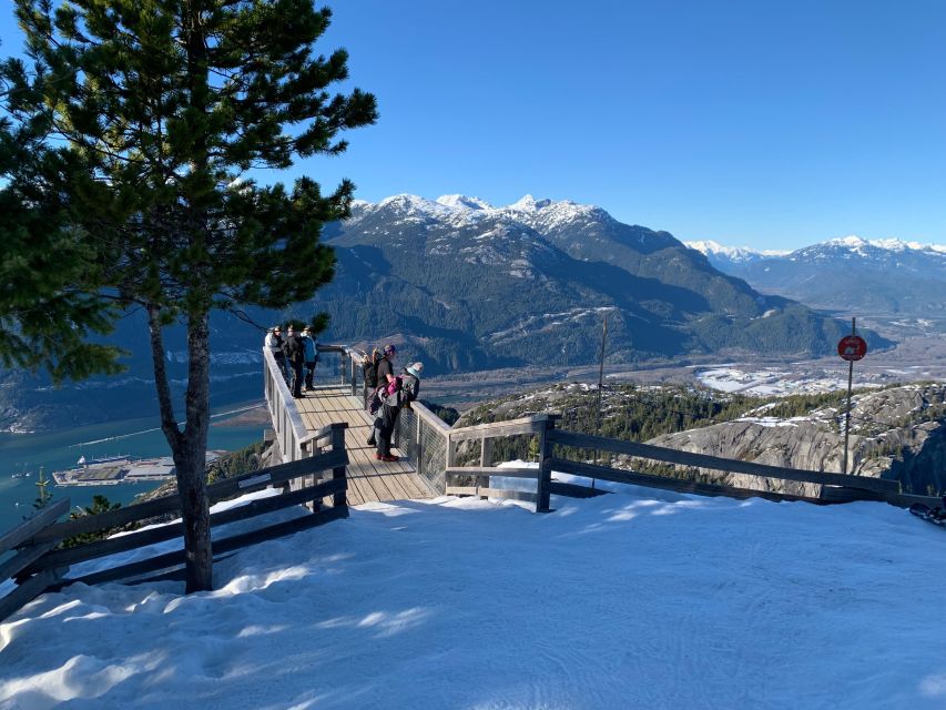 Snowshoeing At The Top Of The Sea To Sky Gondola - Key Points Before You Book