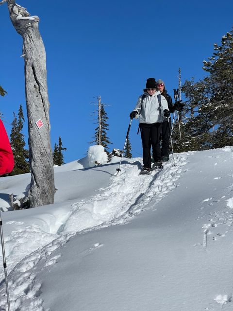 Snowshoeing At The Top Of The Sea To Sky Gondola - Who Should Book This Snowshoe Tour?