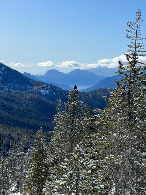 Snowshoeing At The Top Of The Sea To Sky Gondola - Crossing Sky Pilot Suspension Bridge
