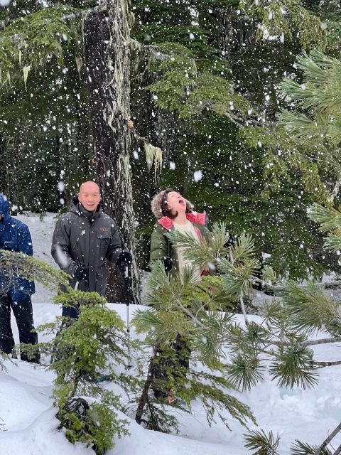Snowshoeing At The Top Of The Sea To Sky Gondola - The Return Ride To Vancouver