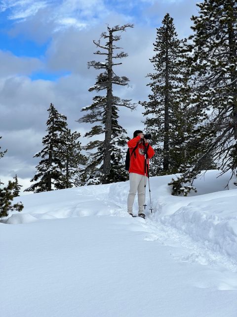 Snowshoeing At The Top Of The Sea To Sky Gondola - Is The $135 Price Worth It?