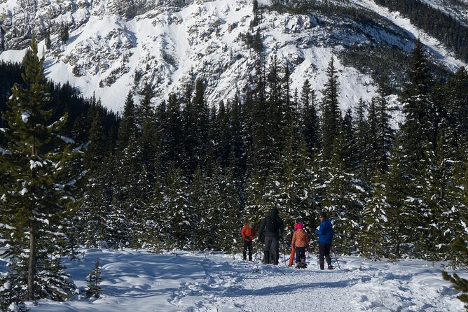 Snowshoeing in Kananaskis - Clothing advice that can save your outing