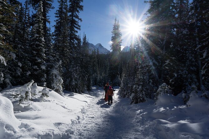 Snowshoeing in Kananaskis - Who should book this snowshoe walk