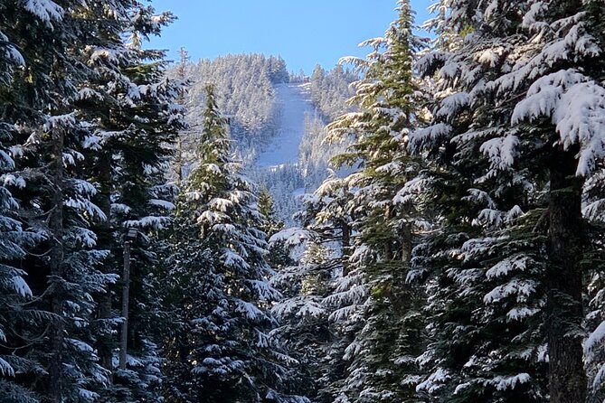 Snowshoeing In Vancouver's Winter Wonderland - Gear, Clothing, and Physical Demands