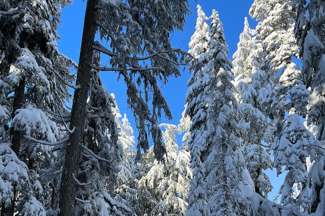 Snowshoeing In Vancouver's Winter Wonderland - Why the Small Group Matters