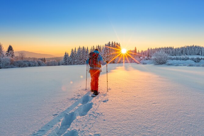 Snowshoeing In Vancouver's Winter Wonderland - Weather, Cancellation, and Seasonal Planning