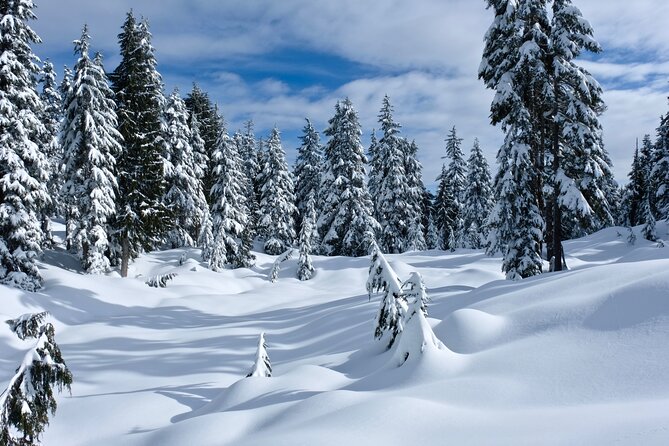 Snowshoeing In Vancouver's Winter Wonderland - Who Should Book This Cypress Excursion?