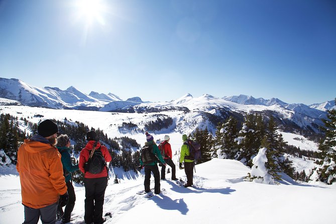Snowshoeing on Top of the World - Key points to know before you book