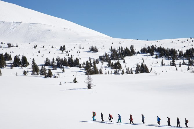 Snowshoeing on Top of the World - Snowshoeing through deep powder