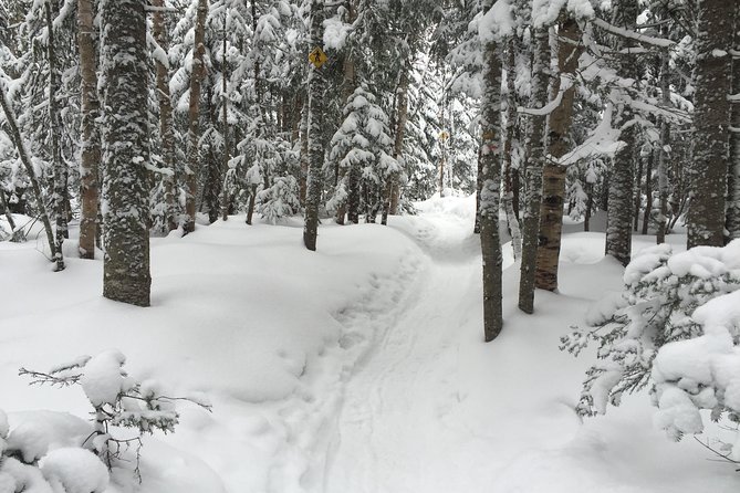 Snowshoeing Tour in Jacques-Cartier National Park - Walking the Snowy Trails for Two to Three Hours