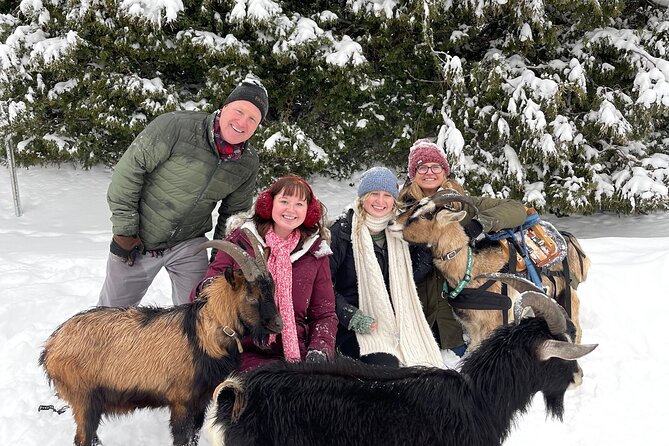 Snowshoeing with mountain goats Private activity - Key points to know before you book