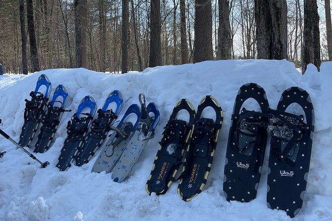 Snowshoeing with mountain goats Private activity - Is the $86.37 price good value?