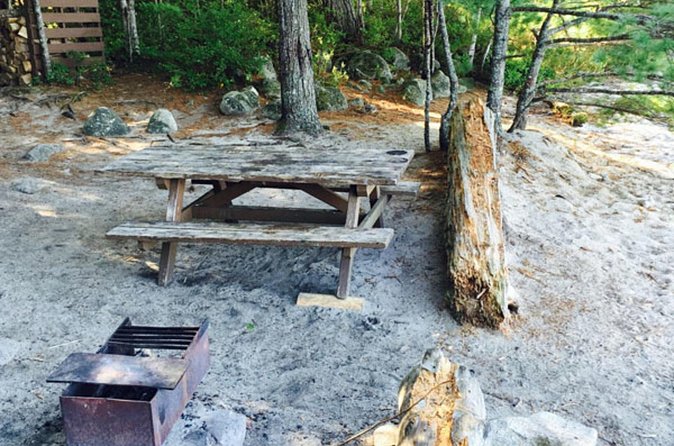 Southern Lakes Canoe Trip - 4 Day - Who should book this four-day canoe trip?