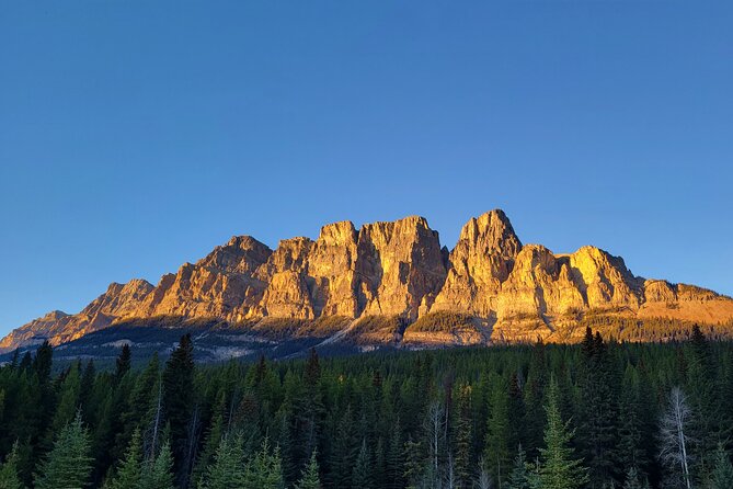 Spectacular Banff Day - Gondola Included - Lake Louise delivers the famous blue-water view