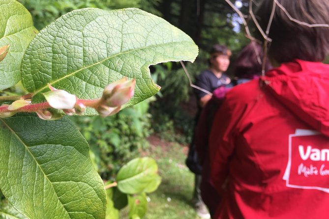 Spoken Treasures: Stanley Park Indigenous Walking Tour - Is $56.20 a good value?