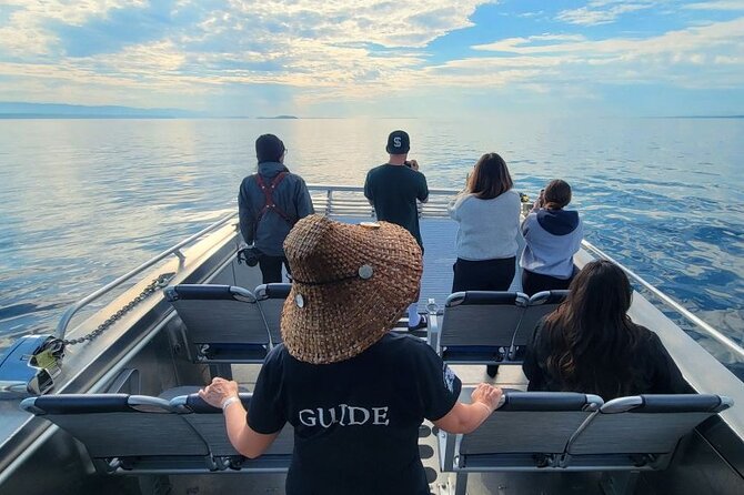 Spring Bears and Whales Tour in Campbell River - Lunch, hot drinks, and a welcome break