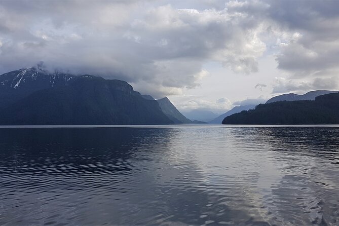 Spring Bears and Whales Tour in Campbell River - Homalco culture and the value of a local guide