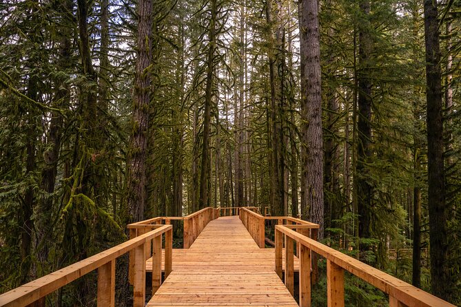Squamish Canyon - Key points to know before you go