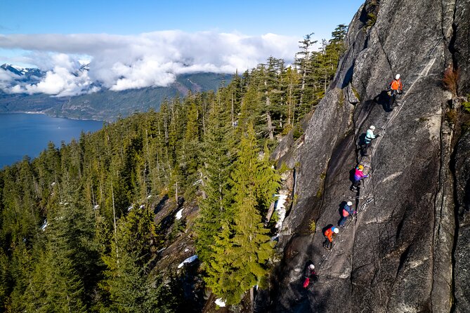 Squamish Via Ferrata Adventure - A Short Forest Walk Before the Climb