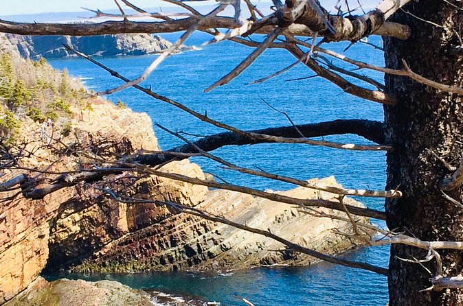St. John's Coastal Hike with Top Local Guide Deneen - A personal pace with Deneen
