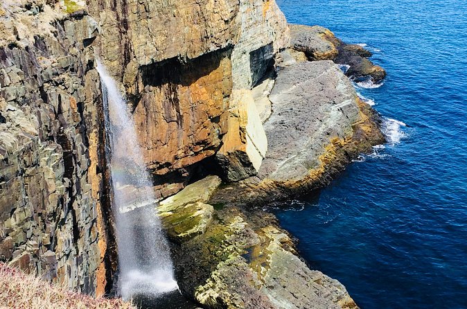 St. John's Coastal Hike with Top Local Guide Deneen - Is $103.81 a fair price?
