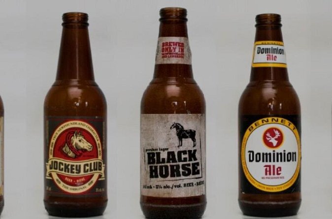 St. John's Local Pub Tour & History Lesson - What the guide’s storytelling adds