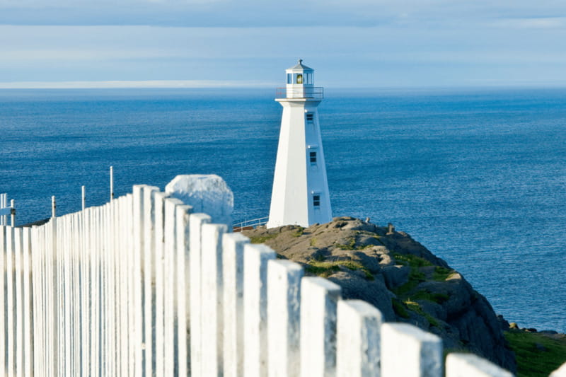 St John's Premium Driving Tour with Signal Hill & Cape Spear - The Terry Fox Memorial and a powerful modern story