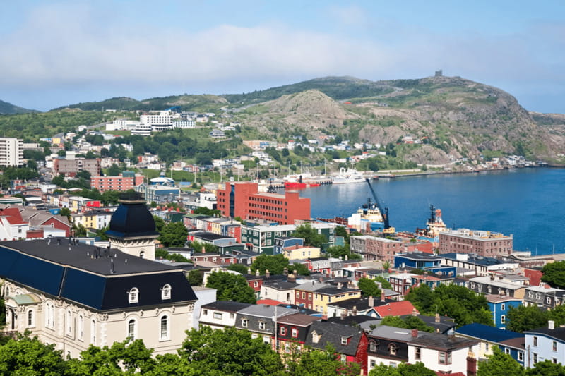 St John's Premium Driving Tour with Signal Hill & Cape Spear - What the small group and guide add