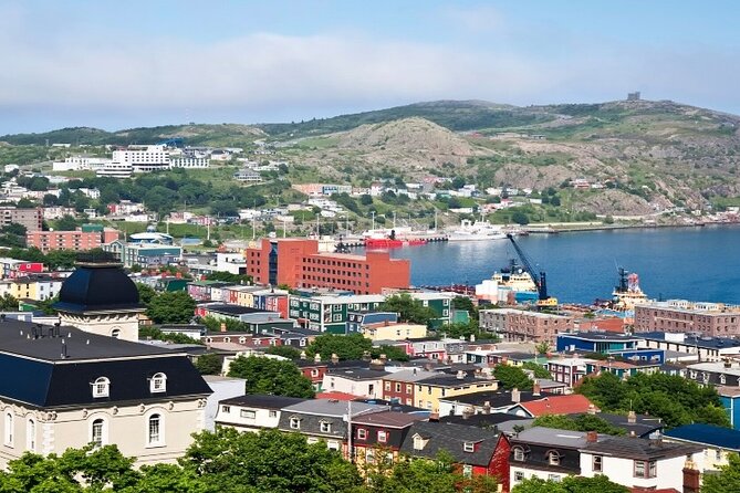 St. John's, Quidi Vidi Village & Signal Hill Small Group Tour - Key points to know before booking