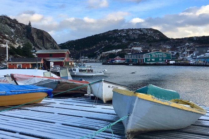 St. John's, Quidi Vidi Village & Signal Hill Small Group Tour - Quidi Vidi Village: a short look, not a full visit