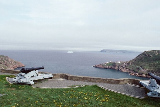 St. John's, Quidi Vidi Village & Signal Hill Small Group Tour - Pickup, timing, and vehicle comfort