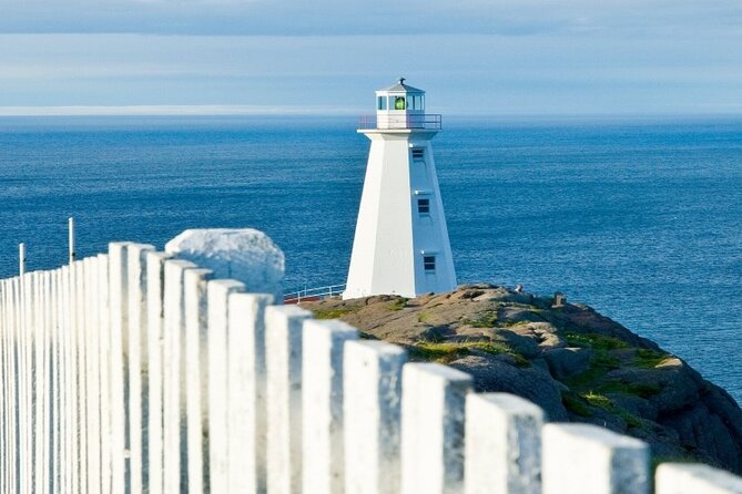 St. John’s Small Group Tour with Iceberg Quest Boat Cruise - Is $184.09 a fair price?
