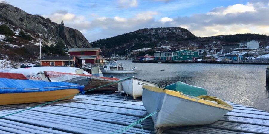 St Johns Premium Tour with Iceberg Quest Boat Cruise - Who should book this experience?