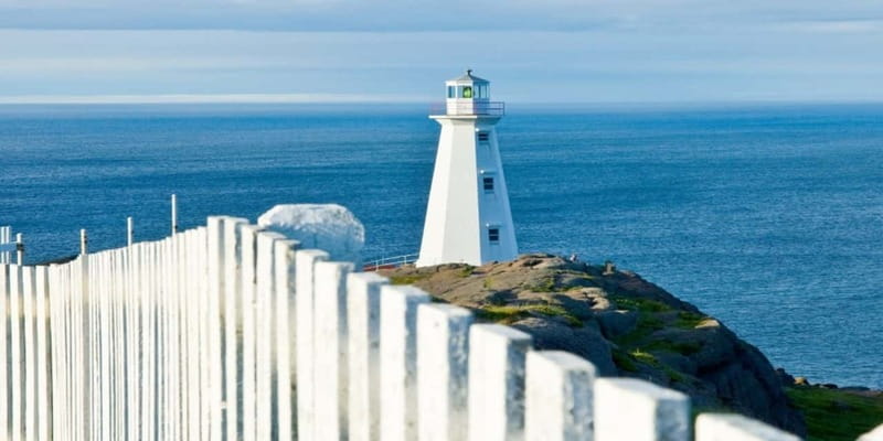 St Johns Premium Tour with Iceberg Quest Boat Cruise - Pickup, drop-off, and the small details that matter