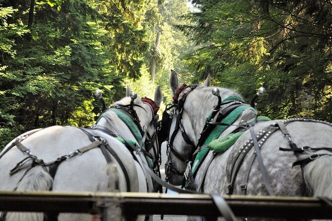 Stanley Park Horse Drawn Tour in Vancouver - Starting beside Coal Harbour