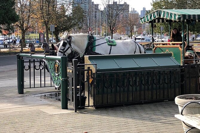 Stanley Park Horse Drawn Tour in Vancouver - What the pace feels like