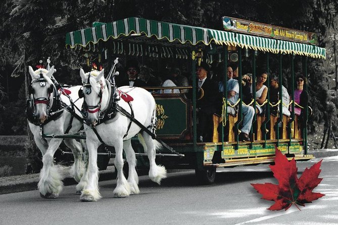 Stanley Park Horse Drawn Tour in Vancouver - Royal Vancouver Yacht Club and Deadman’s Island