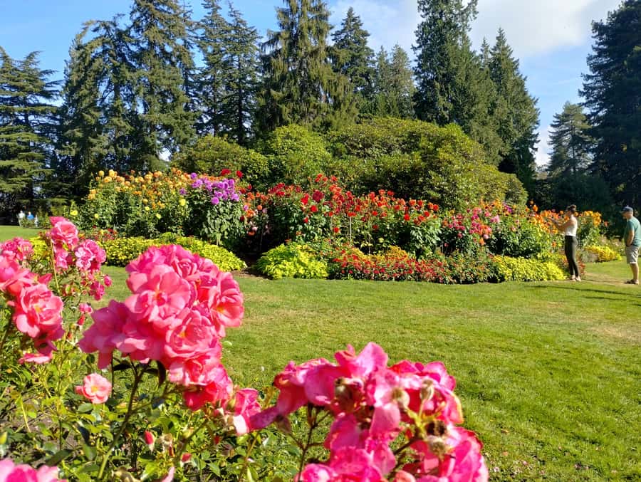 Stanley Park Tour by Car:Small Group Value,See More,Pay Less - Hollow Tree and Third Beach slow the pace