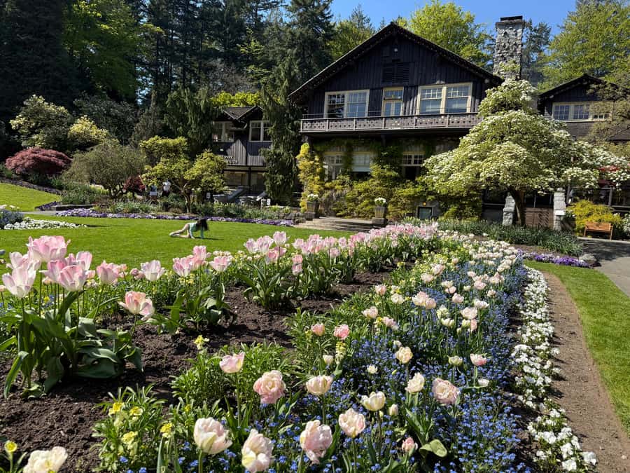 Stanley Park Tour by Car:Small Group Value,See More,Pay Less - The guide can shape the whole experience
