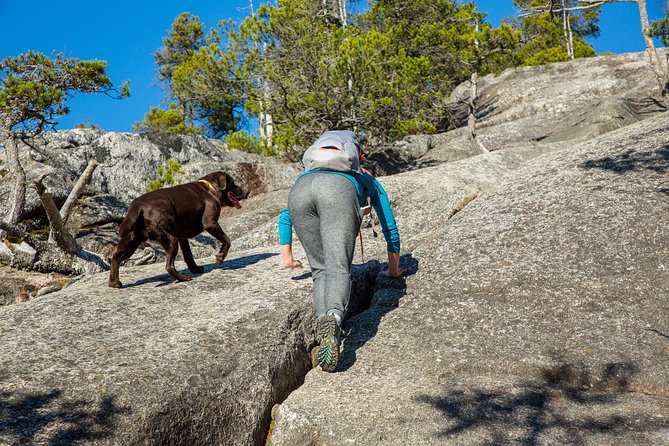 Stawamus Chief Hike & Local Brewery Tasting - The first peak and the view over Howe Sound