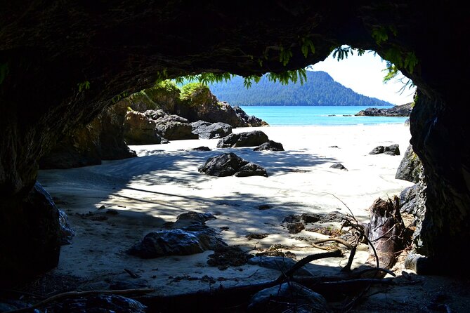 STUNNING San Josef Bay Tour in Cape Scott Provincial Park - Why San Josef Bay is worth the effort