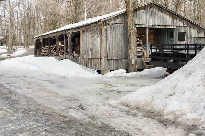 Sugar Shack (Feb to May) Maple Syrup Private Day Tour with lunch from Montreal - A traditional lunch worth arriving hungry for