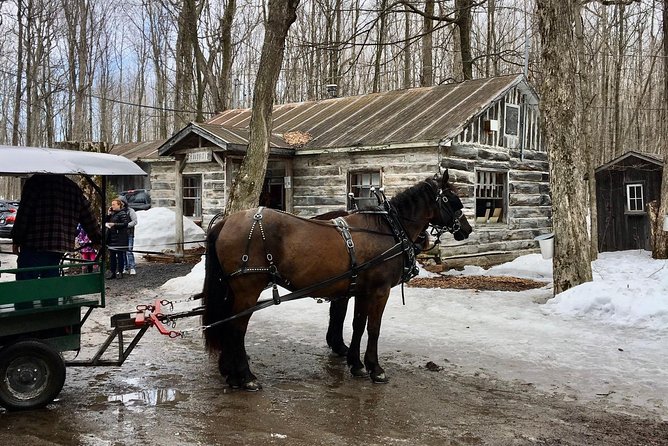 Sugar Shack (Feb to May) Maple Syrup Private Day Tour with lunch from Montreal - Maple taffy rolled over snow