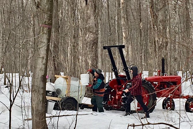 Sugar Shack (Feb to May) Maple Syrup Private Day Tour with lunch from Montreal - Is $271 a fair price?